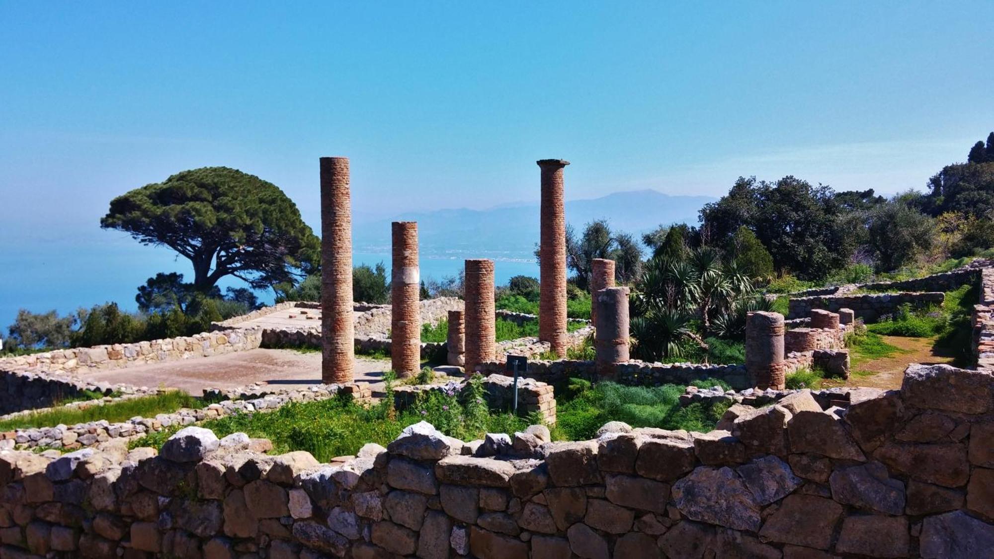 B&B Il Giardino Di Zefiro Gioiosa Marea Exterior foto